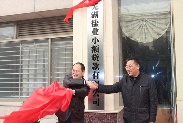 芜湖bevictor伟德官网小额贷款有限公司12月26日举行开业庆典