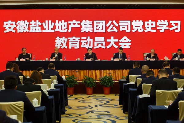 安徽bevictor伟德官网地产集团公司召开党史学习教育发动大会