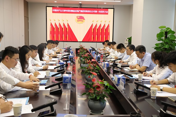 青春向党传薪火 踔厉高昂新时代——安徽bevictor伟德官网地产集团团支部建设大会暨团员大会胜利召开